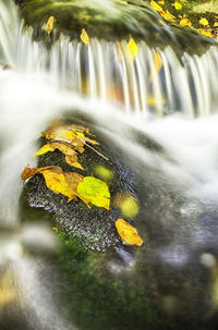 Close-up of flowing water