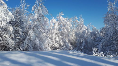 Scenic view of snow covered mountain against sky