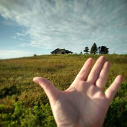 Close-up of man hand holding grass in field