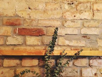 Close-up of brick wall