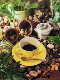 High angle view of black coffee by potted plants 