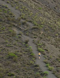 High angle view of person walking on land