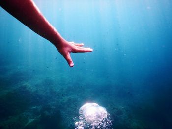 Low section of person swimming in sea