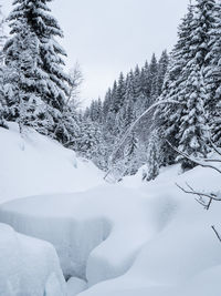 Snow covered land and trees against sky