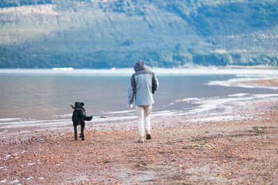 Rear view of woman walking with dog on mountain against sky