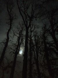 Low angle view of bare trees against sky