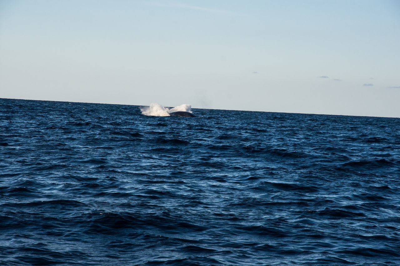 VIEW OF SEA AGAINST SKY IN THE BACKGROUND