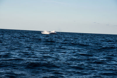 View of sea against sky