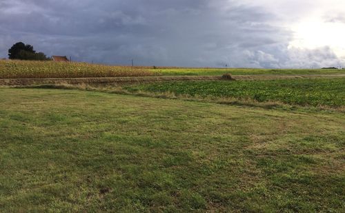 Scenic view of agricultural field against sky