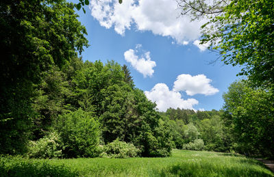 Trees and plants on field against sky