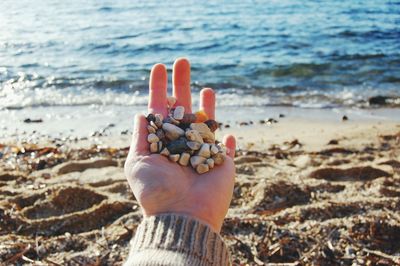 Close-up of person hand on beach