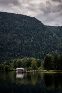 Scenic view of lake in forest against sky