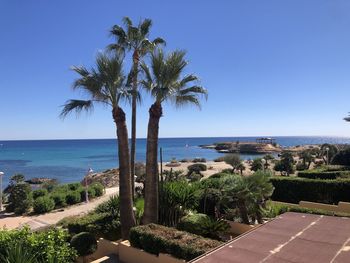 Scenic view of palm trees by sea against clear blue sky