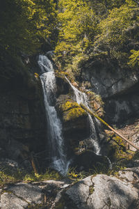 Scenic view of waterfall in forest