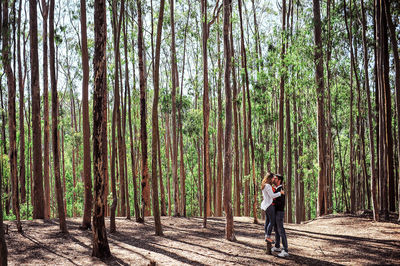 Boy standing amidst trees in forest