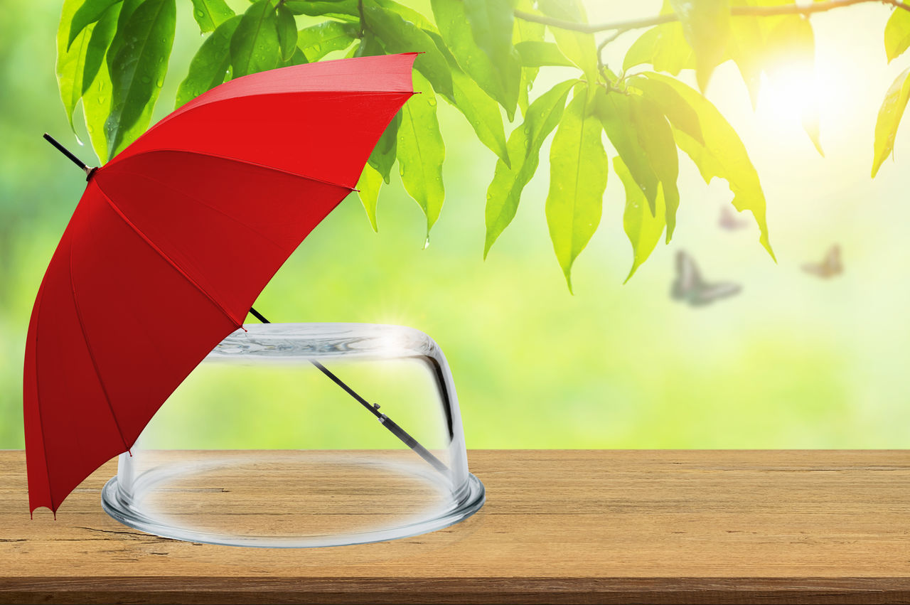 CLOSE-UP OF FRESH GLASS ON TABLE AGAINST PLANTS