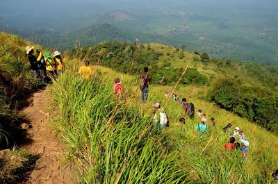Scenic view of landscape