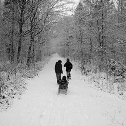 Rear view of boys playing on sledging on snowcapped road