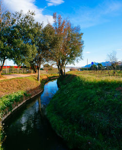 Trees on landscape against sky