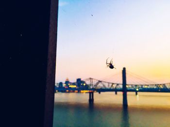 View of bridge over sea against clear sky