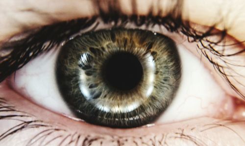 Extreme close-up of human eye