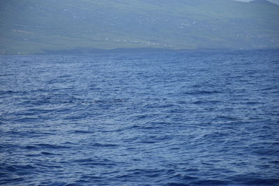 Scenic view of blue sea against sky