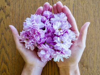 Close-up of hand holding purple flower