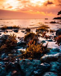 Scenic view of sea against sky at sunset