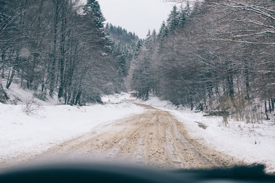 Road amidst trees on snow covered landscape