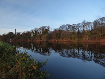 Reflection of trees in lake against sky