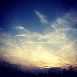 Low angle view of silhouette trees against sky at sunset