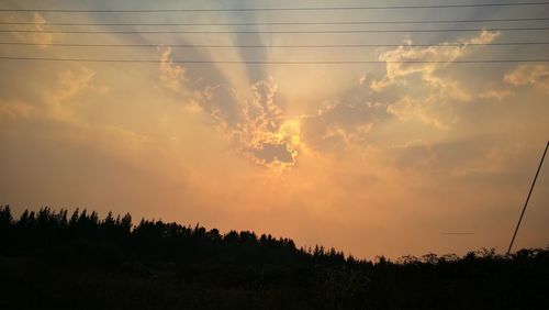Low angle view of silhouette trees against sky during sunset