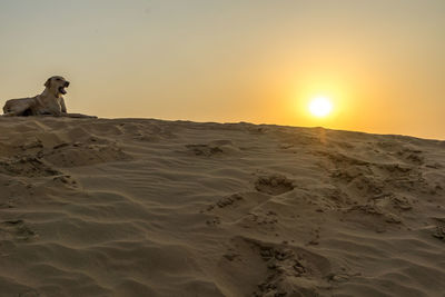 Man sitting on sand at beach against sky during sunset