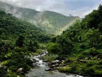 Scenic view of waterfall amidst trees in forest