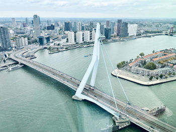 Erasmus brug rotterdam 