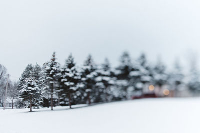 Trees on snow covered landscape against clear sky