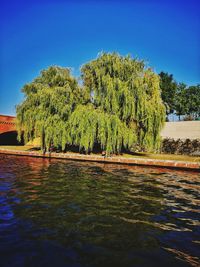 Scenic view of lake against clear blue sky