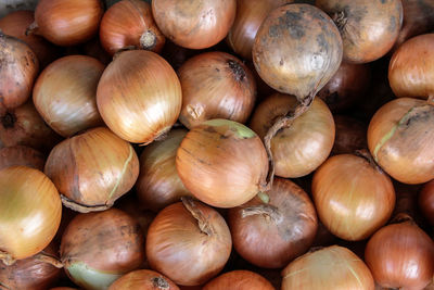 View from top of big onions. fresh whole onions.