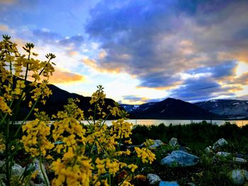 Scenic view of mountains against sky during sunset