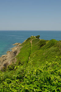 Scenic view of sea against clear sky