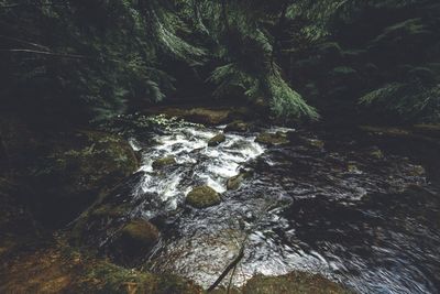 High angle view of stream flowing by rock in forest