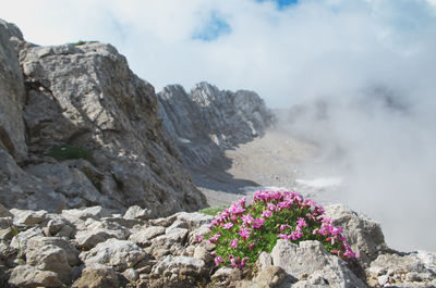 Scenic view of rocky mountains against sky