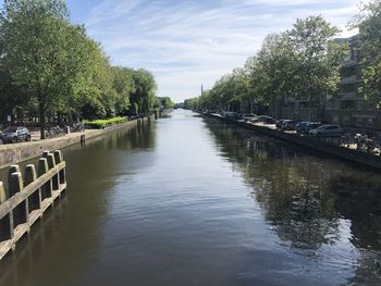 Canal amidst trees against sky