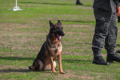 Low section of man with dog standing on field