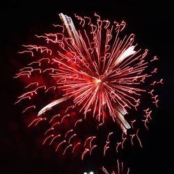 Low angle view of firework display at night