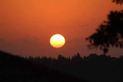 Scenic view of silhouette trees against orange sky