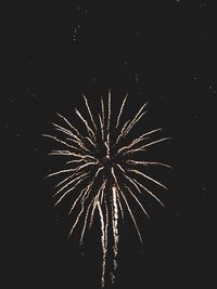 Low angle view of firework display at night