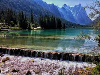 Scenic view of lake in forest against sky