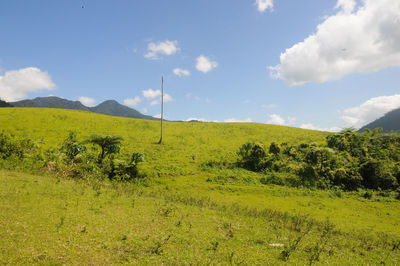 Scenic view of field against sky