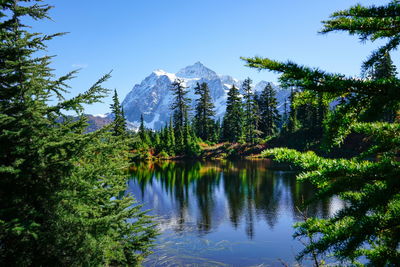 Scenic view of lake by trees against sky